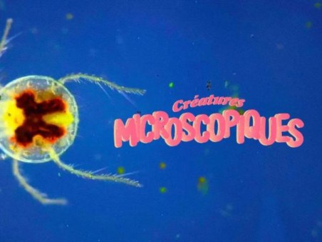 Créatures Microscopiques