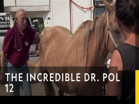 The Incredible Dr. Pol