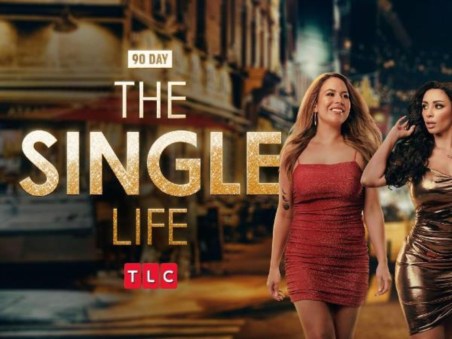 90 Day: The Single Life