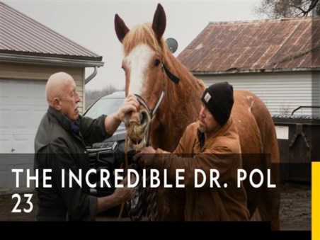 The Incredible Dr. Pol