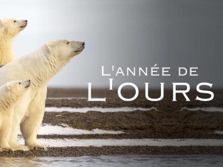 L'Année De L'Ours