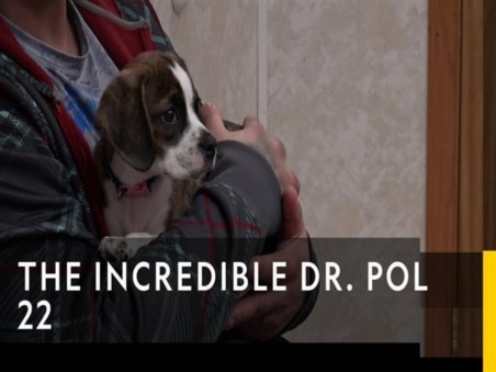 The Incredible Dr. Pol