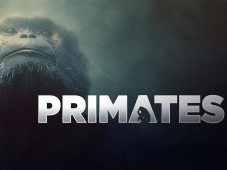 Primatas