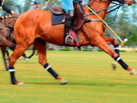 Polo Rider Cup Highlights 2021