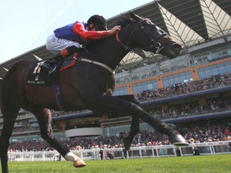 Royal Ascot: Queens of the Turf: Royal Ascot: Queens of the Turf