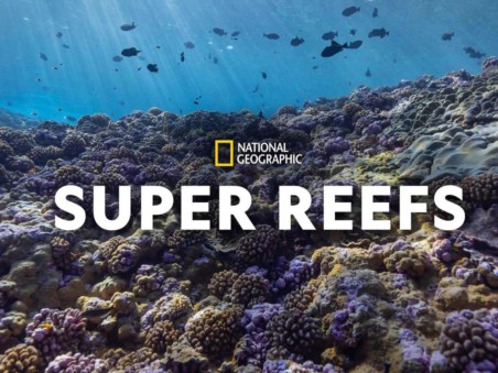 Super Reefs