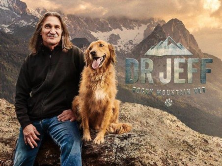 Veterinário em apuros