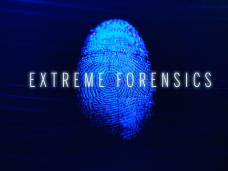 Extreme Forensics