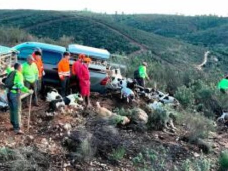 Monteando Los Jabalies de La Nava. 1º Parte