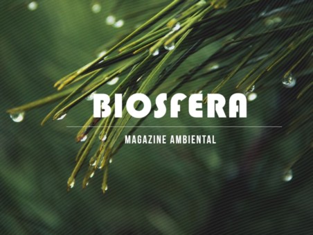 Biosfera