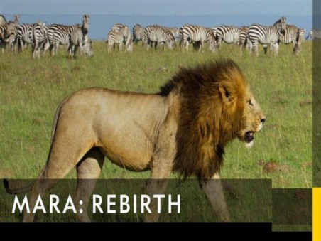 Mara: Rebirth