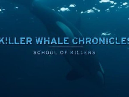 Killer Whale Chronicles
