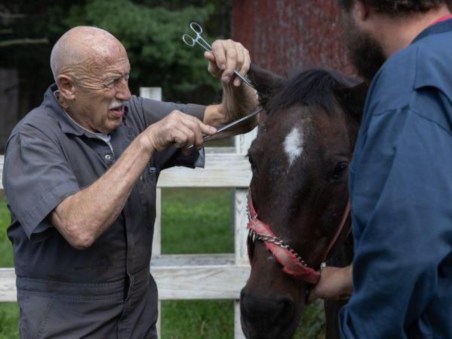 The Incredible Dr. Pol