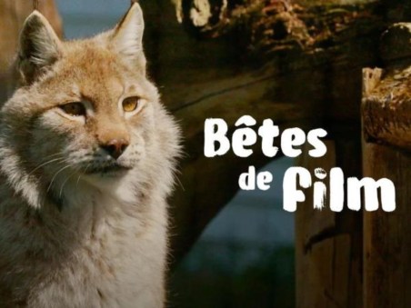 Bêtes De Film