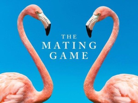 O Jogo do Amor