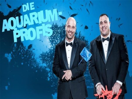 Aquários XXL