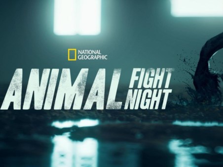 Animal Fight Night