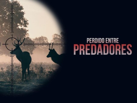 Perdido entre Predadores