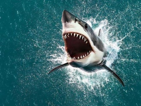 Air Jaws: The Hunt For Colossus