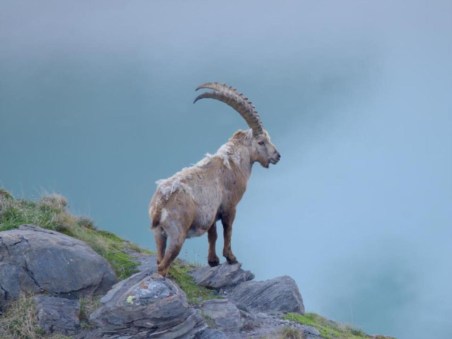 Austria's Wild Heritage - One Country Six National Parks 1