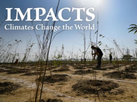 Impacts: Climates Change The World