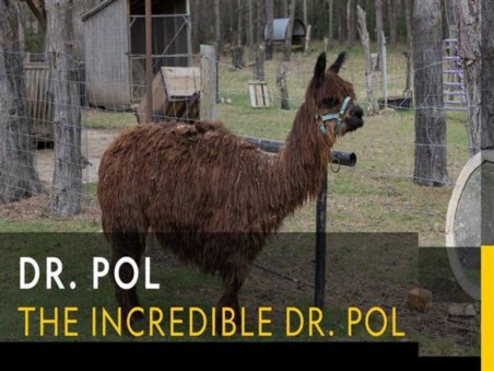 The Incredible Dr. Pol