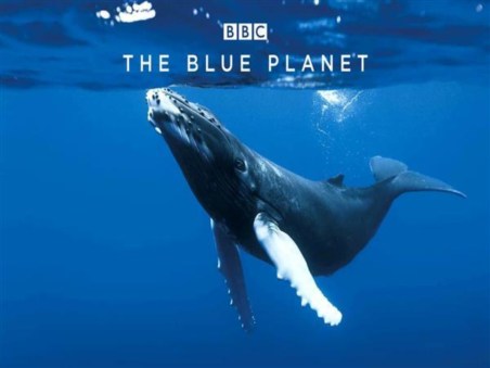 Planeta Azul