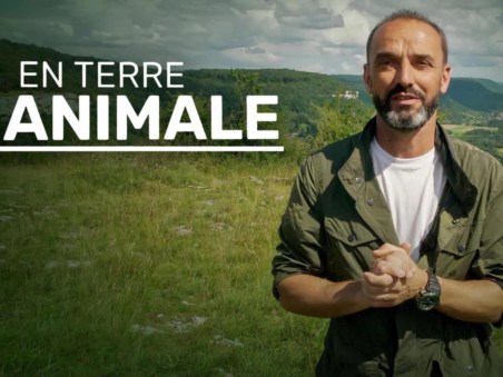En Terre Animale