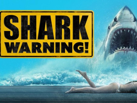 Shark Warning!
