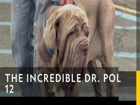 The Incredible Dr. Pol
