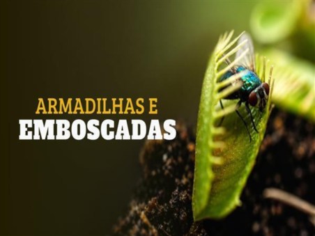 Armadilhas e Emboscadas