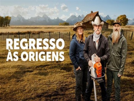 Regresso às origens