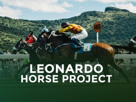 Leonardo Horse Project 2019