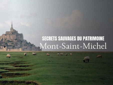 Secrets Sauvages Du Patrimoine