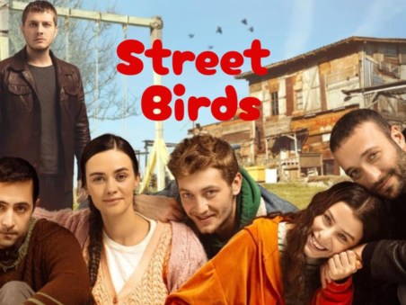 Street Birds