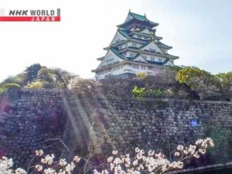 Samurai Castles