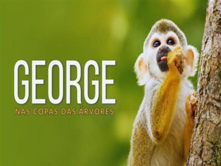 George nas Copas das Árvores