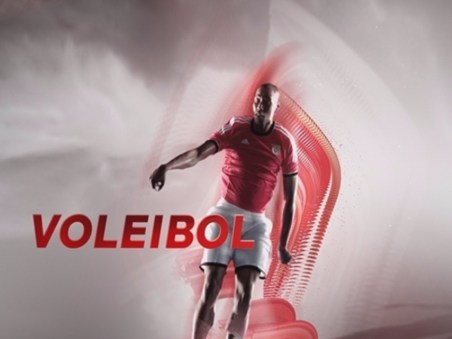 Voleibol Feminino