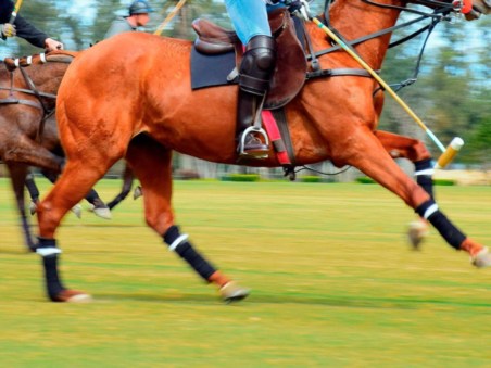 CSI3* Maeza Grand Prix 2022