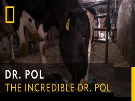 The Incredible Dr. Pol