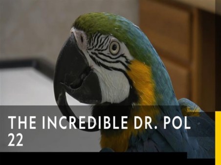 The Incredible Dr. Pol