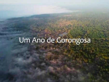 Um Ano de Gorongosa
