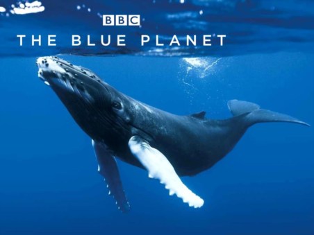 Planeta Azul