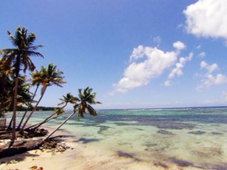 Guadeloupe, Graines D'Avenir