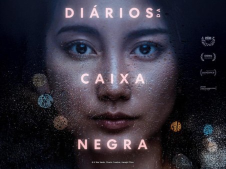 Diários da Caixa Negra