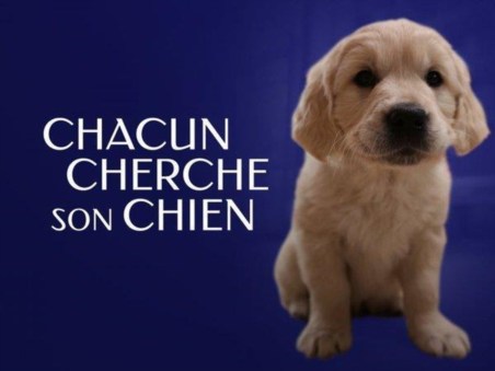 10 Cachorros e Eu