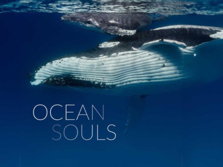 A Alma dos Oceanos