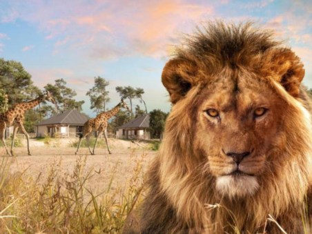 Op Safari