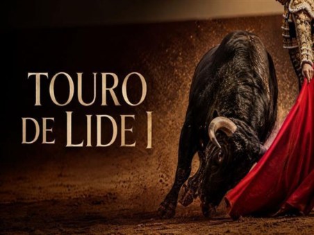 Toiro de Lide I