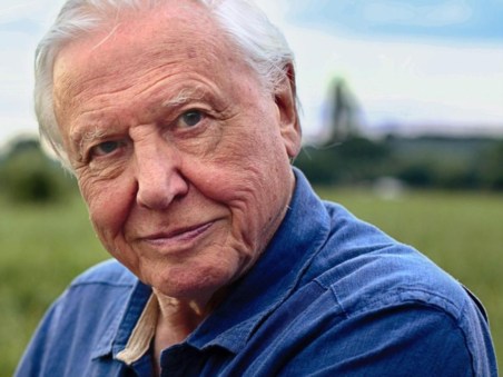 A Conquista dos Céus de David Attenborough